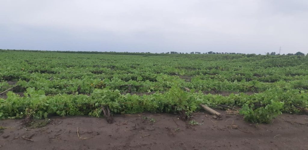 Во всех населённых пунктах  района Басарабяска прошли грозы и  шквалистый ветер, деревья вырывало с корнями, произошли обрывы линий электропередач, сорваны крыши многоэтажных и частных домов, а также крыши зданий гос. учреждений, пострадали сельскохозяйственные культуры ( виноградники, подсолнух и др).