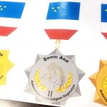 Многодетные матери из Гагаузской автономии будут награждаться памятными медалями
