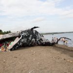На Филиппинах погиб кит: в его желудке нашли 40 кг пластиковых пакетов