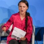 ПРОЕКТ «ГРЕТА ТУНБЕРГ» СДУЛСЯ, НЕ УСПЕВ ВЗЛЕТЕТЬ.