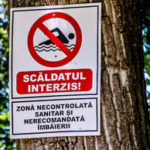 В Кишинёве во всех зонах отдыха загрязнена вода и представляет опасность для населения.