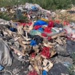 Cum și unde locuitorii satului Abaclia depozitează gunoiul?