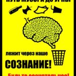 Используйте мусорные контейнеры по назначению! Совместный социальный ролик студии BAS TV и молодёжного объединения «FEED-BACK».