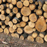 В Молдове подорожали дрова на 3-5%