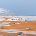 Песок из Сахары окрасил Европу в желтый цвет.