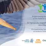 Школьники из Украины и Молдовы могут принять участие в экологическом проекте! Прими участие! Стань молодым послом!